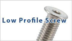What are low profile screws? Find advantages, disadvantages, and usage examples explained here!